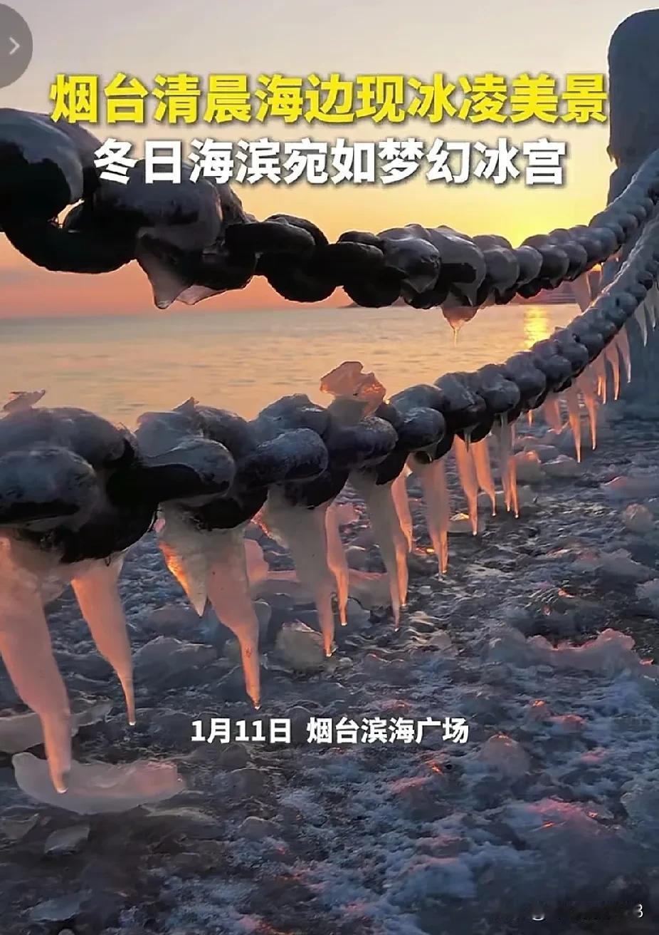 烟台今天终于晴天了，不下雪了，下了好几天大大小小的雪，大概这个雪也累晕了，得休息
