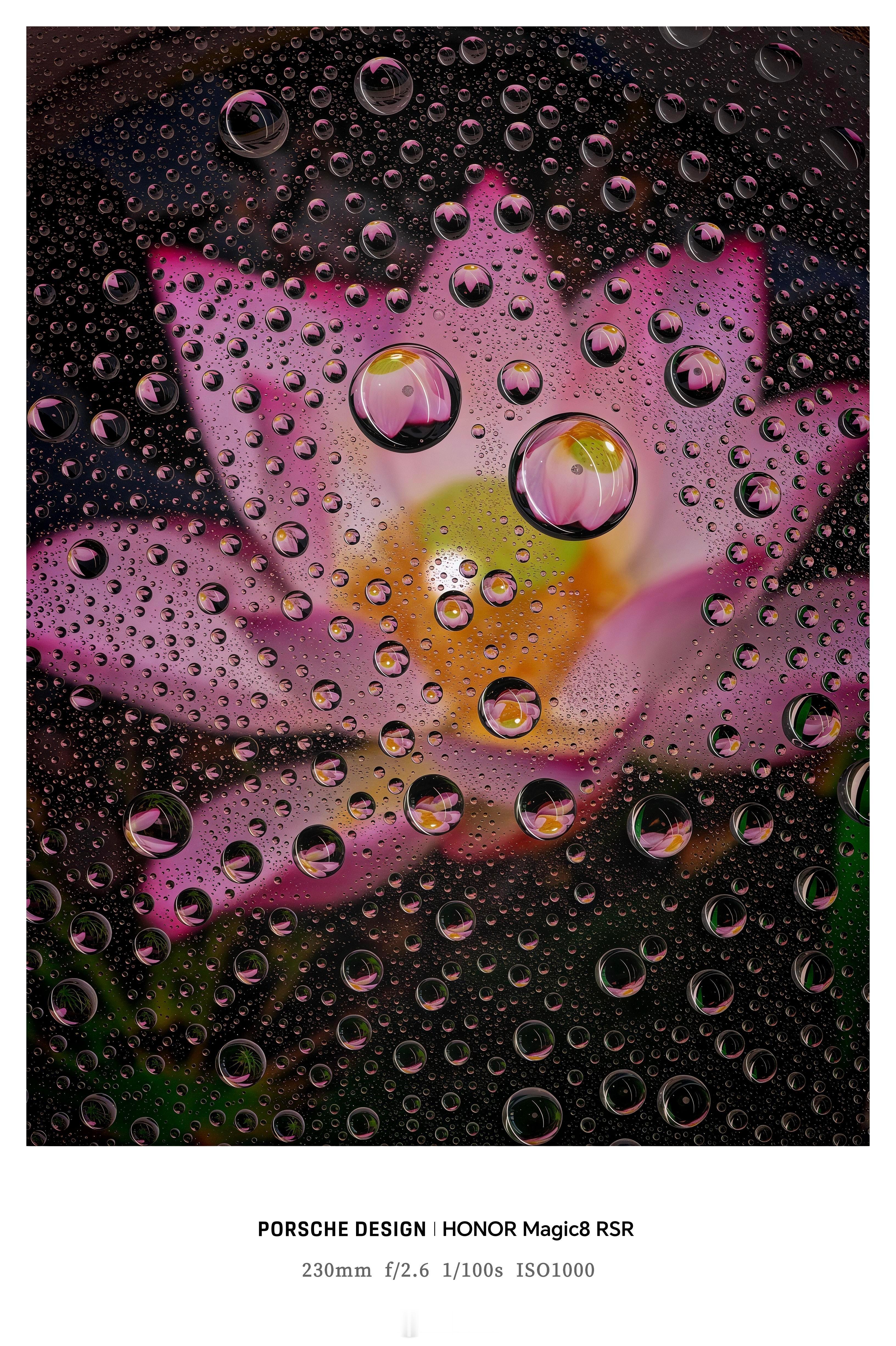 好看，是真的好看！官方亲自下场爆料荣耀Magic8 RSR的长焦微距 