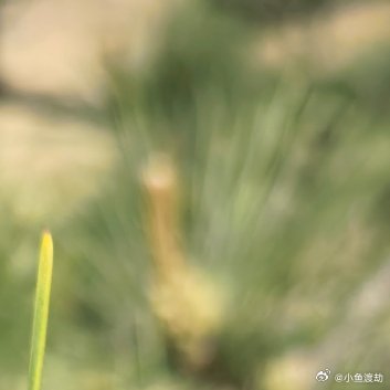 关于懂事从小你就被夸懂事。不哭不闹，不伸手要东西，不给人添麻烦。你把这当成一种荣