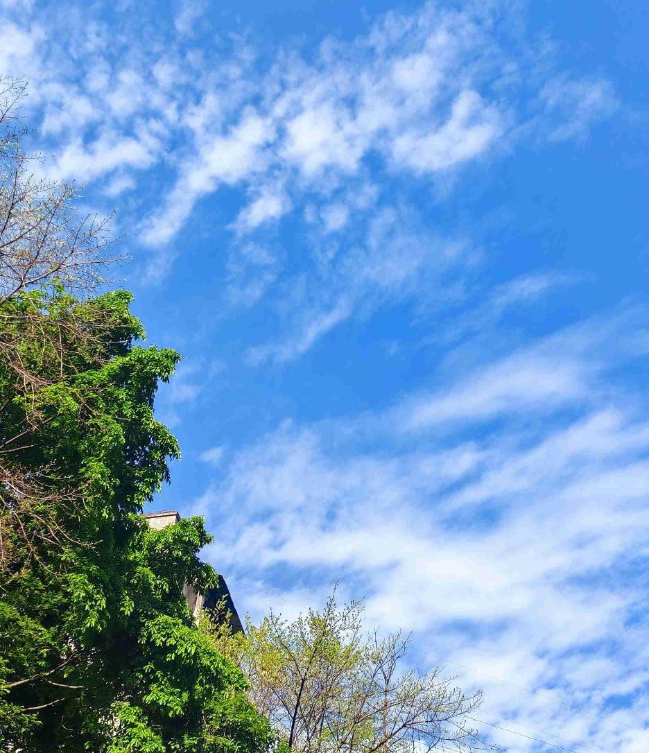 山城重庆的热，总比日历上的夏天来得早。才刚踏入五月，裹挟着热意的风就漫过了嘉陵江