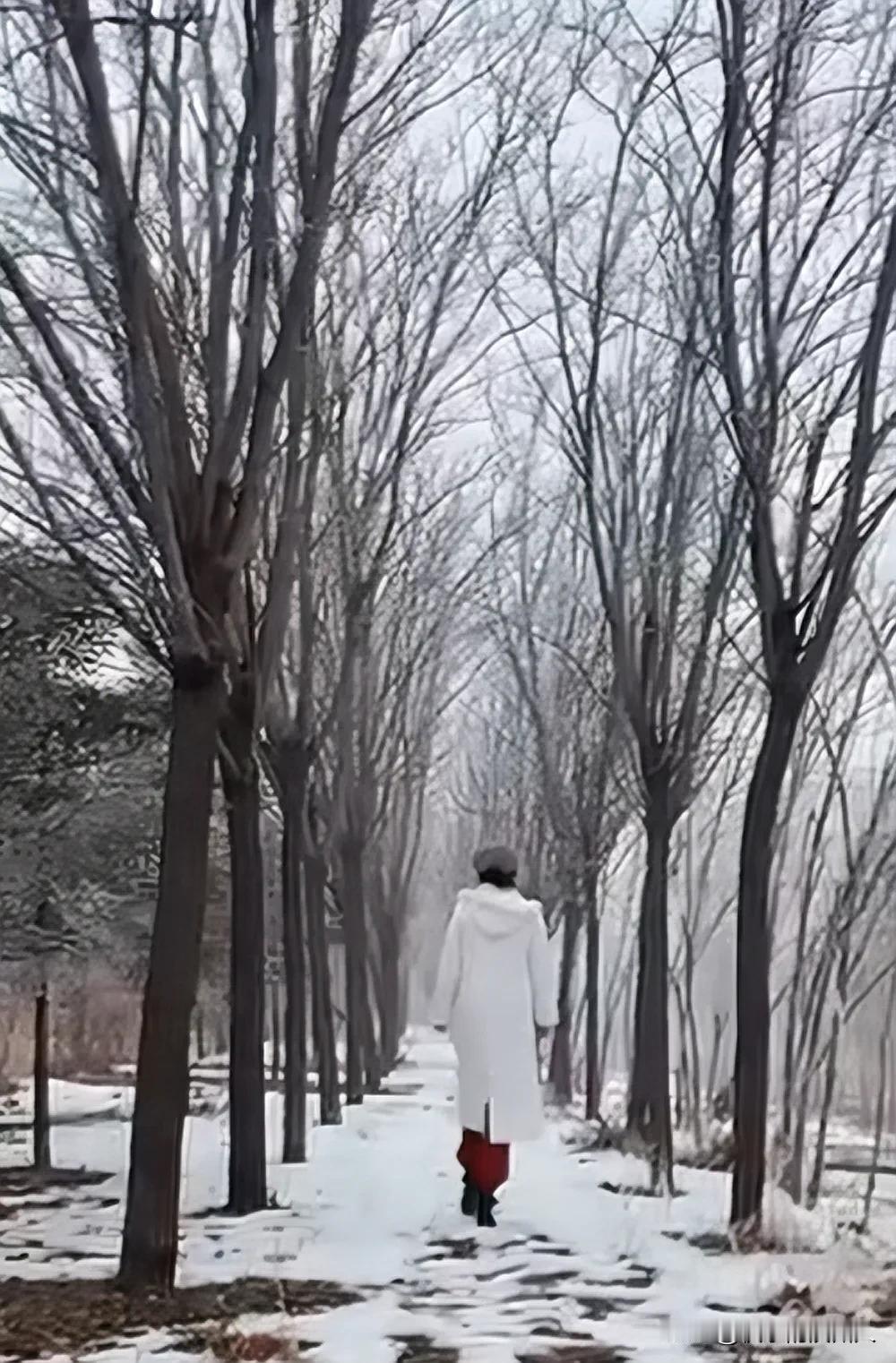 看看你拍摄的树木照片一片小树林也能拍出有意境的照片！雪后的景色真的很美！随手拍初