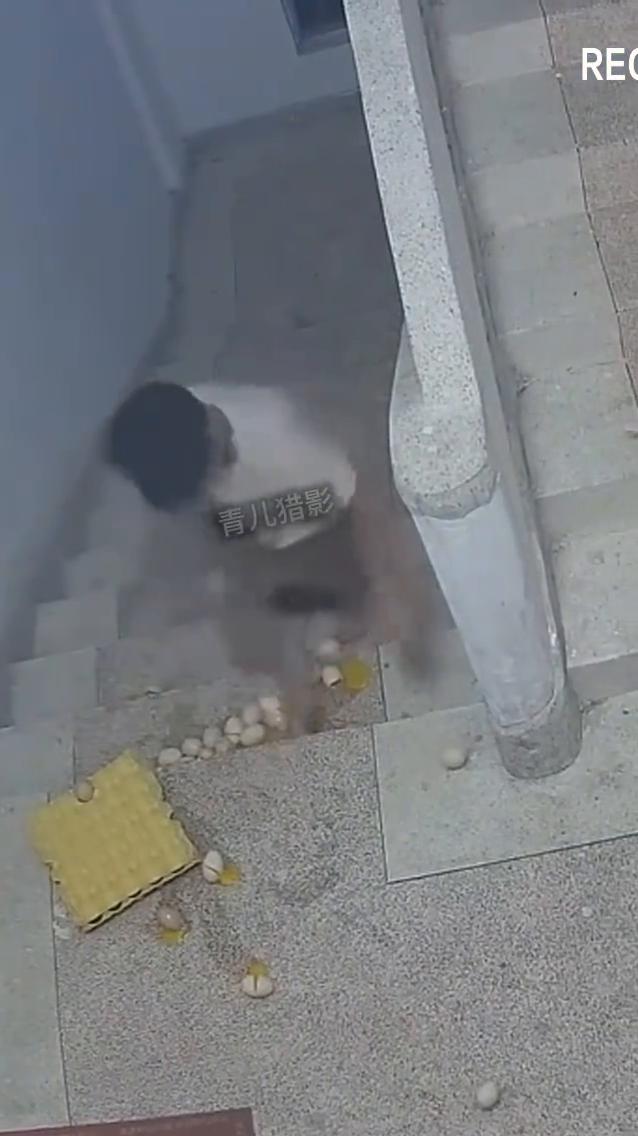 监控下一幕。
妈，不知道我走了。