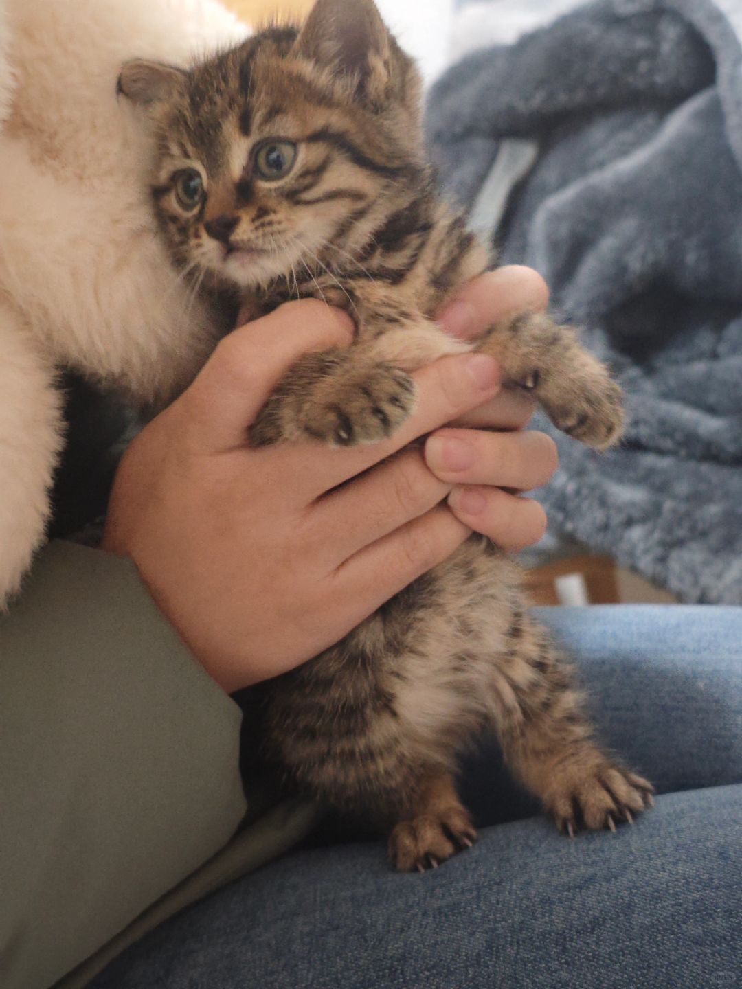 最后一天上班！