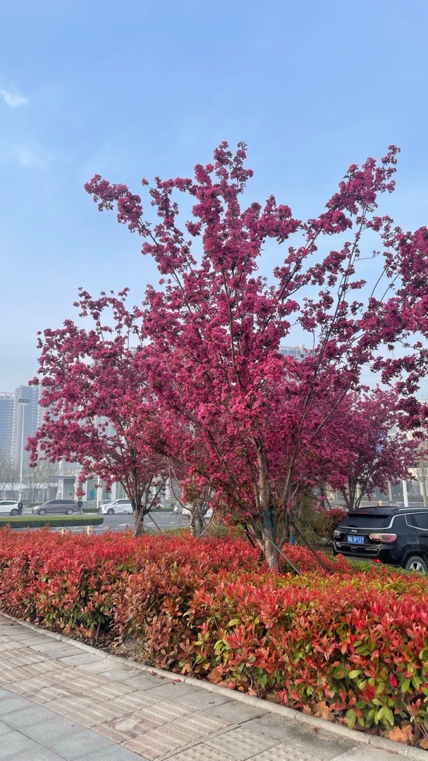 空留的牵挂 你不知 