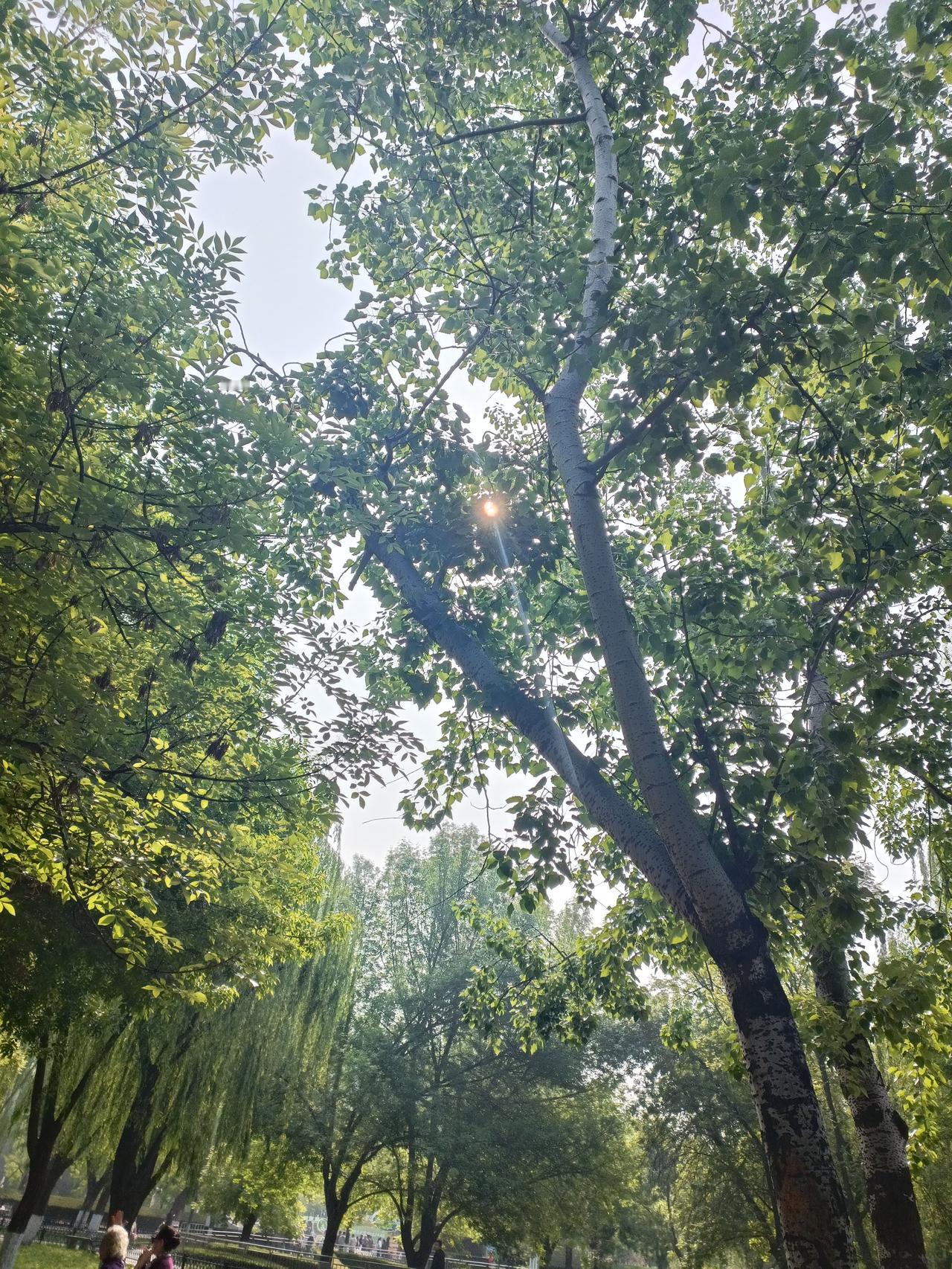 人与人之间君子多,还是小人多? 人与人之间君子多还是小人多，这还真不好说。现实里
