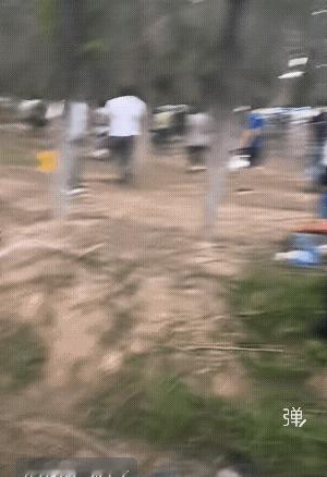 知了马上就要成为国家二级保护动物了，抓知了猴的人太疯狂了![捂脸]