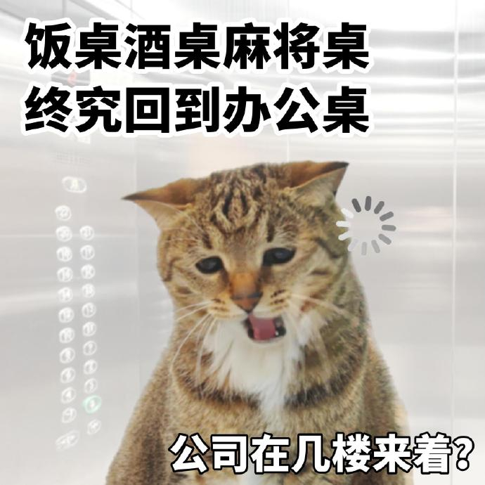 “人生最痛苦的两件事 工作和没工作 ​​​” ​​​