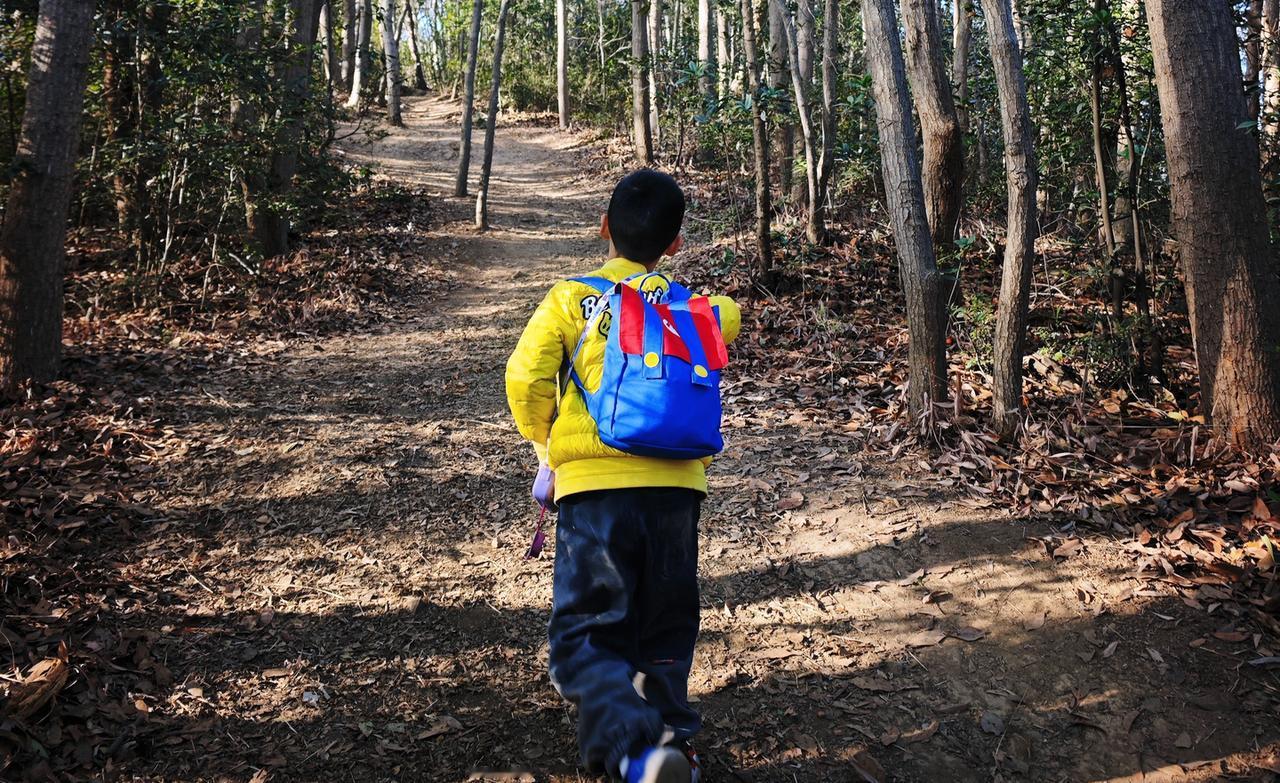 西湖景区附近有哪些适合徒步打卡的地点？

✅交通：
- 去程：地铁4号线水澄桥站