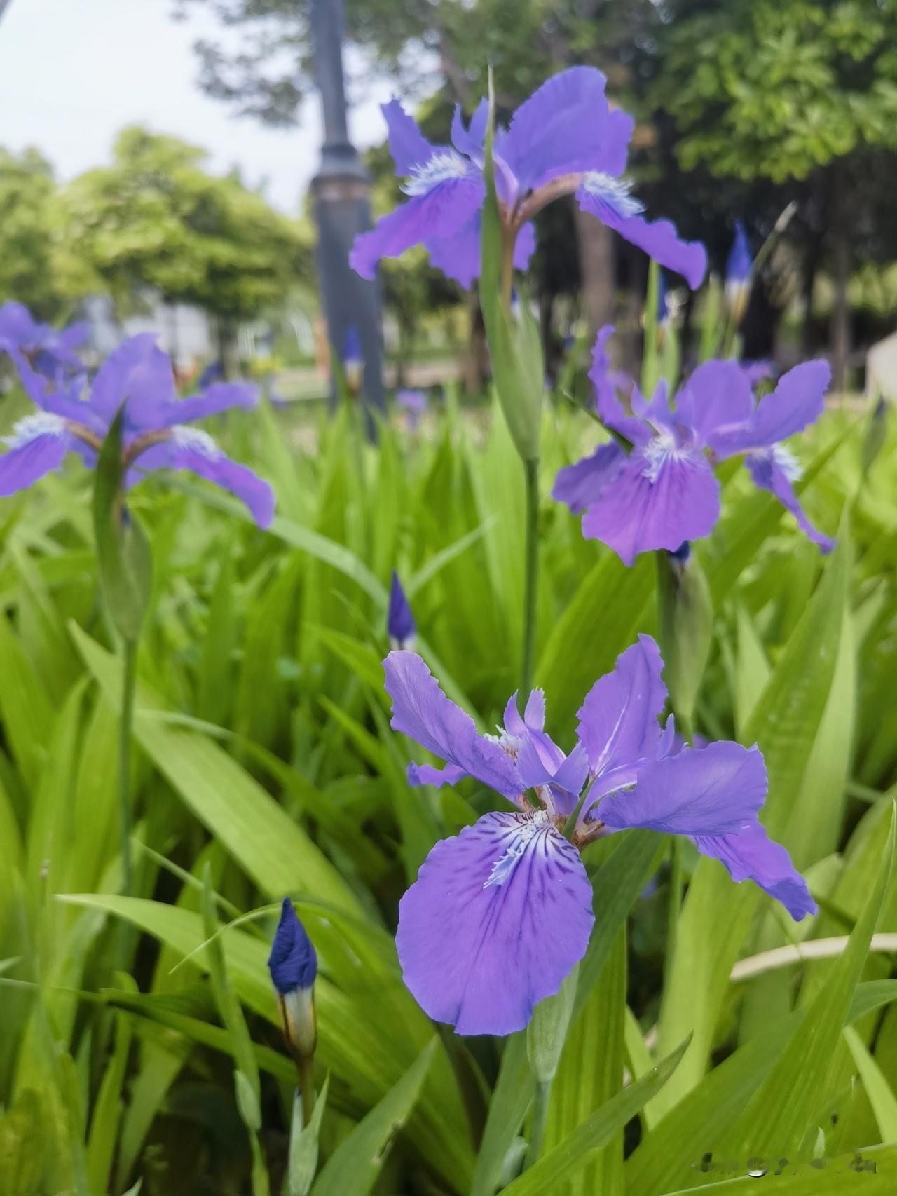 无论今天发生多么糟糕的事，都不应该感到悲伤。因为今天是你往后日子里最年轻的一天了