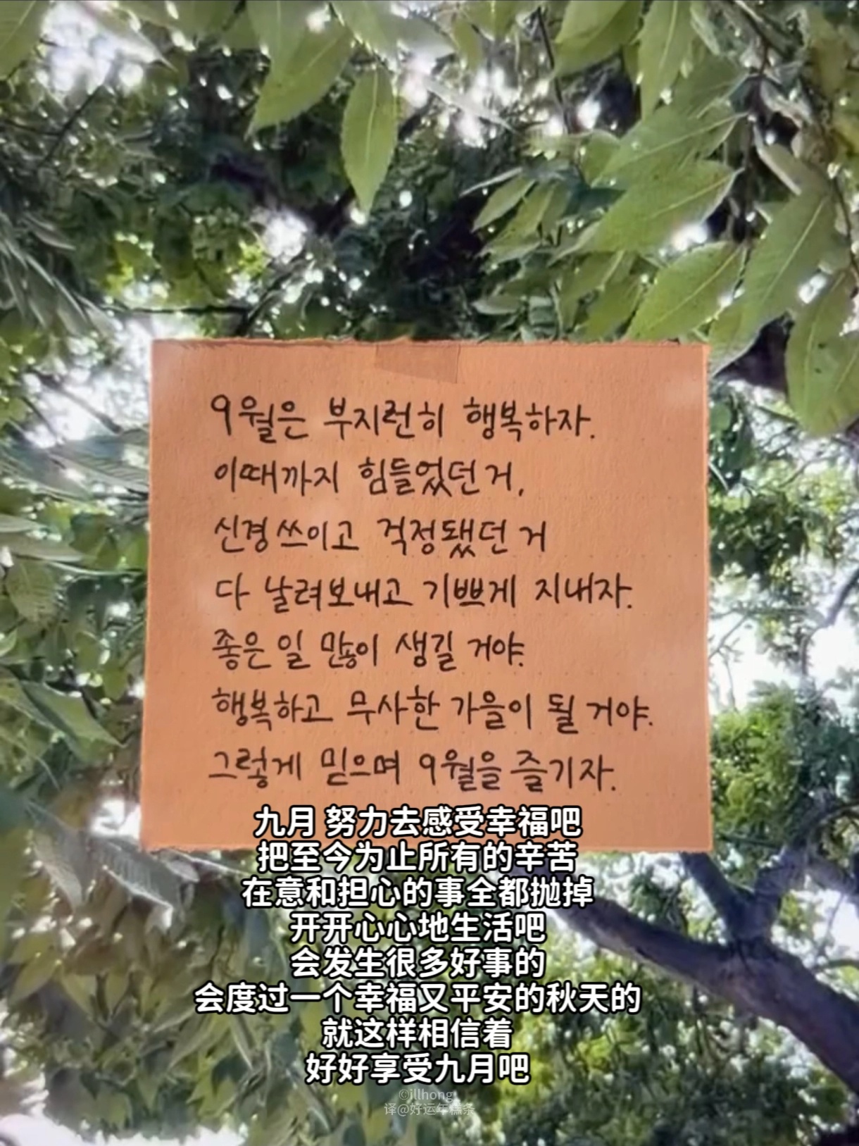度过一个幸福平安的秋天吧 ​​​