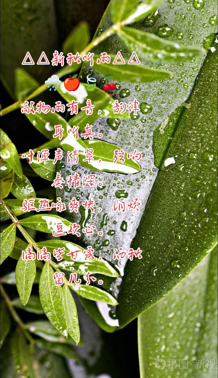 新秋听雨