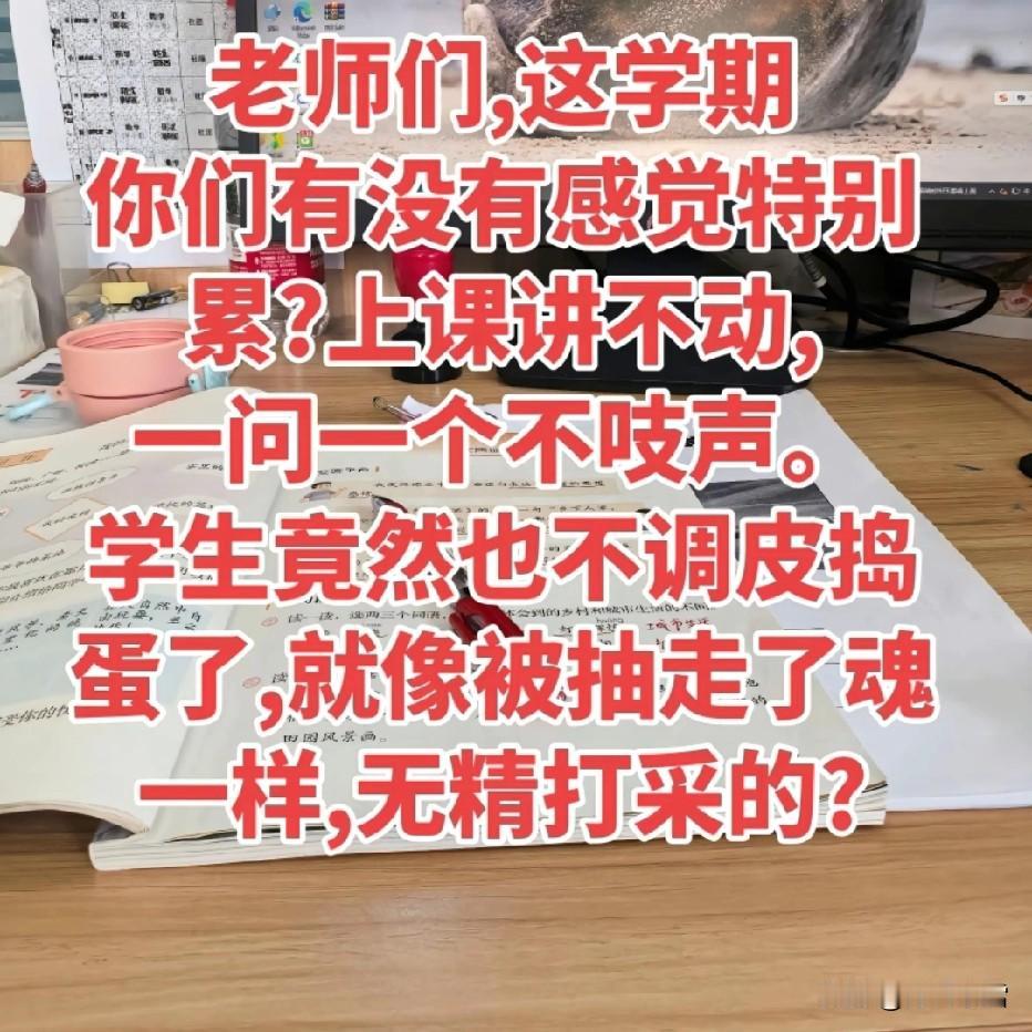 一年一度的毕业班研讨会又拉开了序幕。作为今年就退休的54岁的老教师，带全校九年级