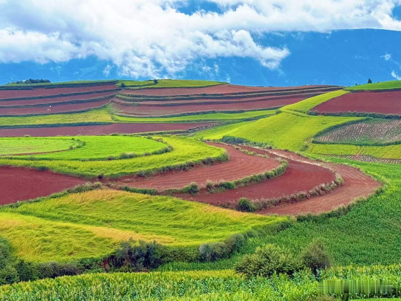 东川红土地。
中国地大物博，不同气候，不同区域分布着不同颜色的土壤。比如东北有黑