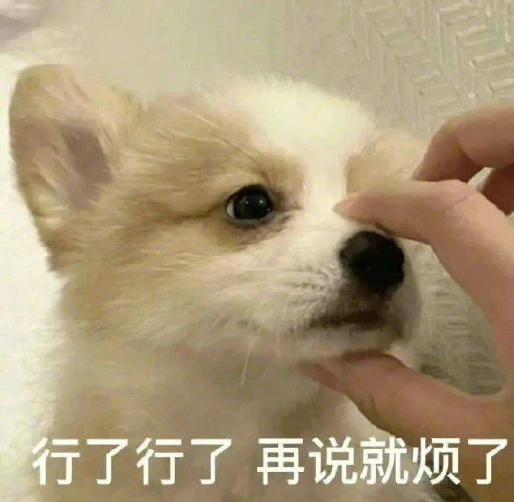 丰富一下你的表情包 ​​​
