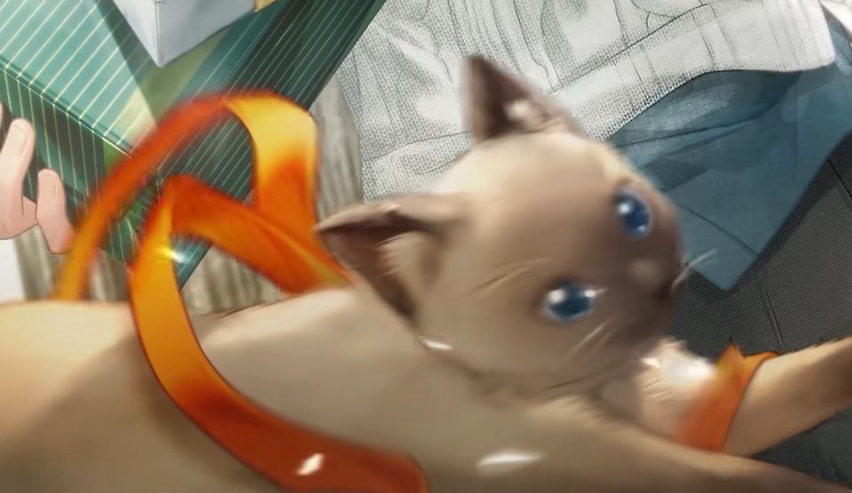 布丁你是一个小煤球 