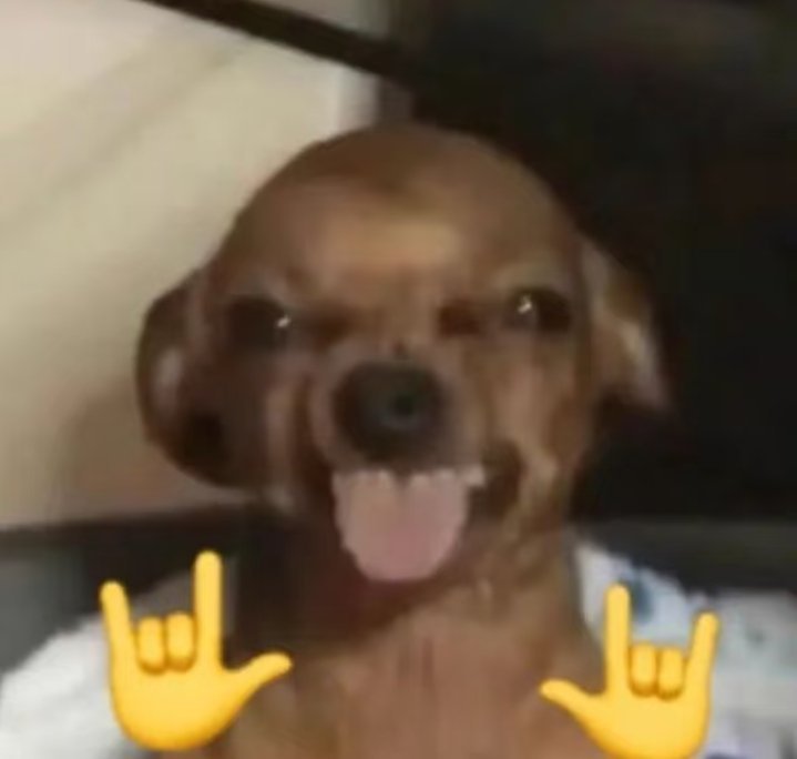 啊哈哈哈哈哈，闺蜜我终于放假了