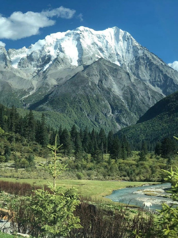 你当像鸟 飞往你的山 