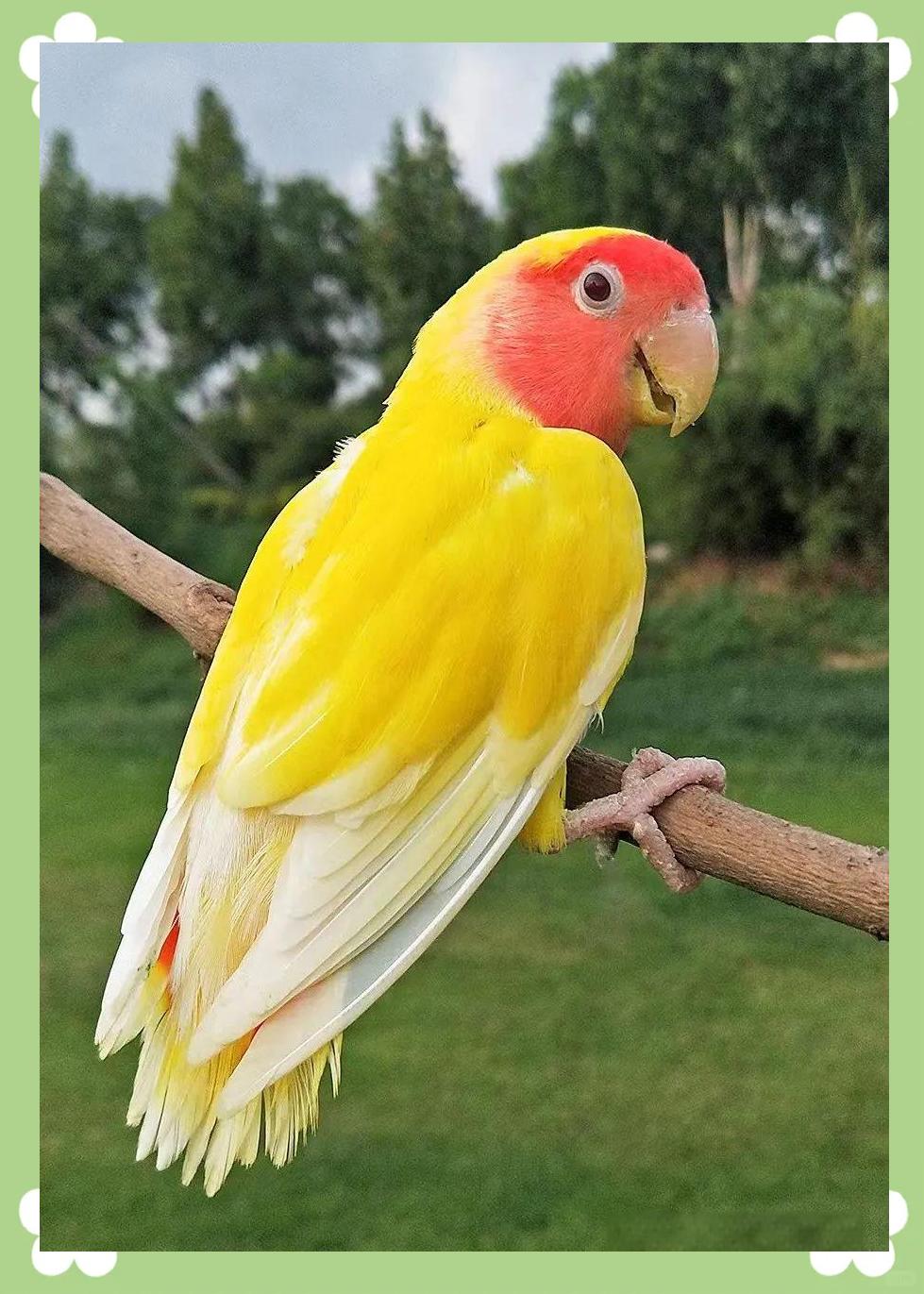 苍穹天下在声明里写，自己号没了以后，会冒出很多个“苍穹天下”。
他不建群。
不开