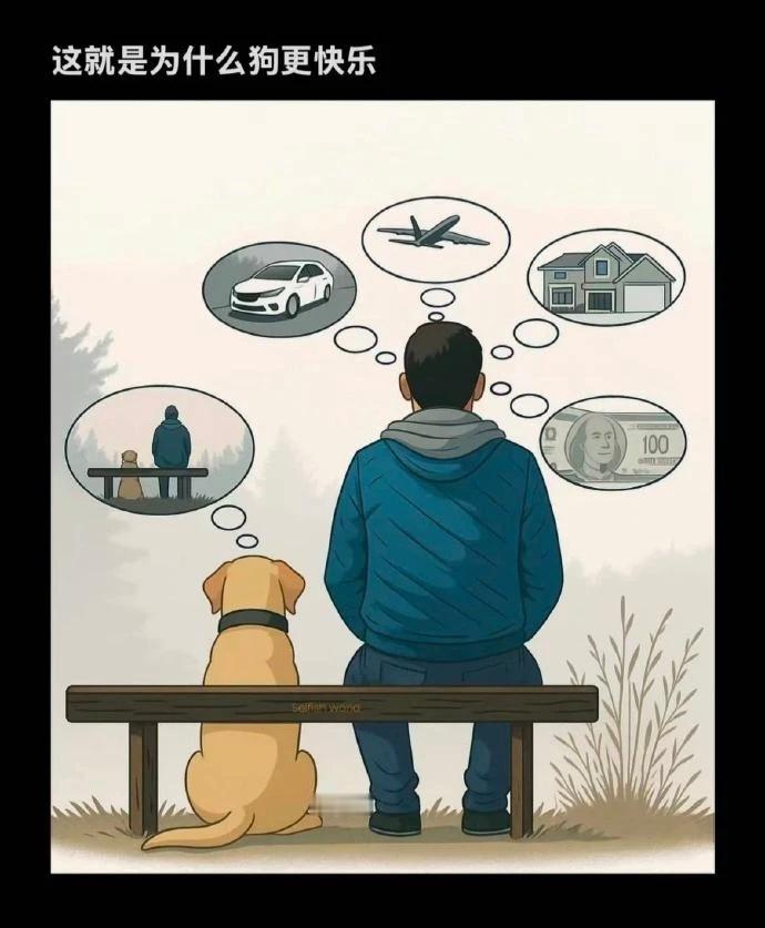 这个世界上，能一直坚持学习和进步的人真的非常非常少，看似千军万马过独木桥，其实对