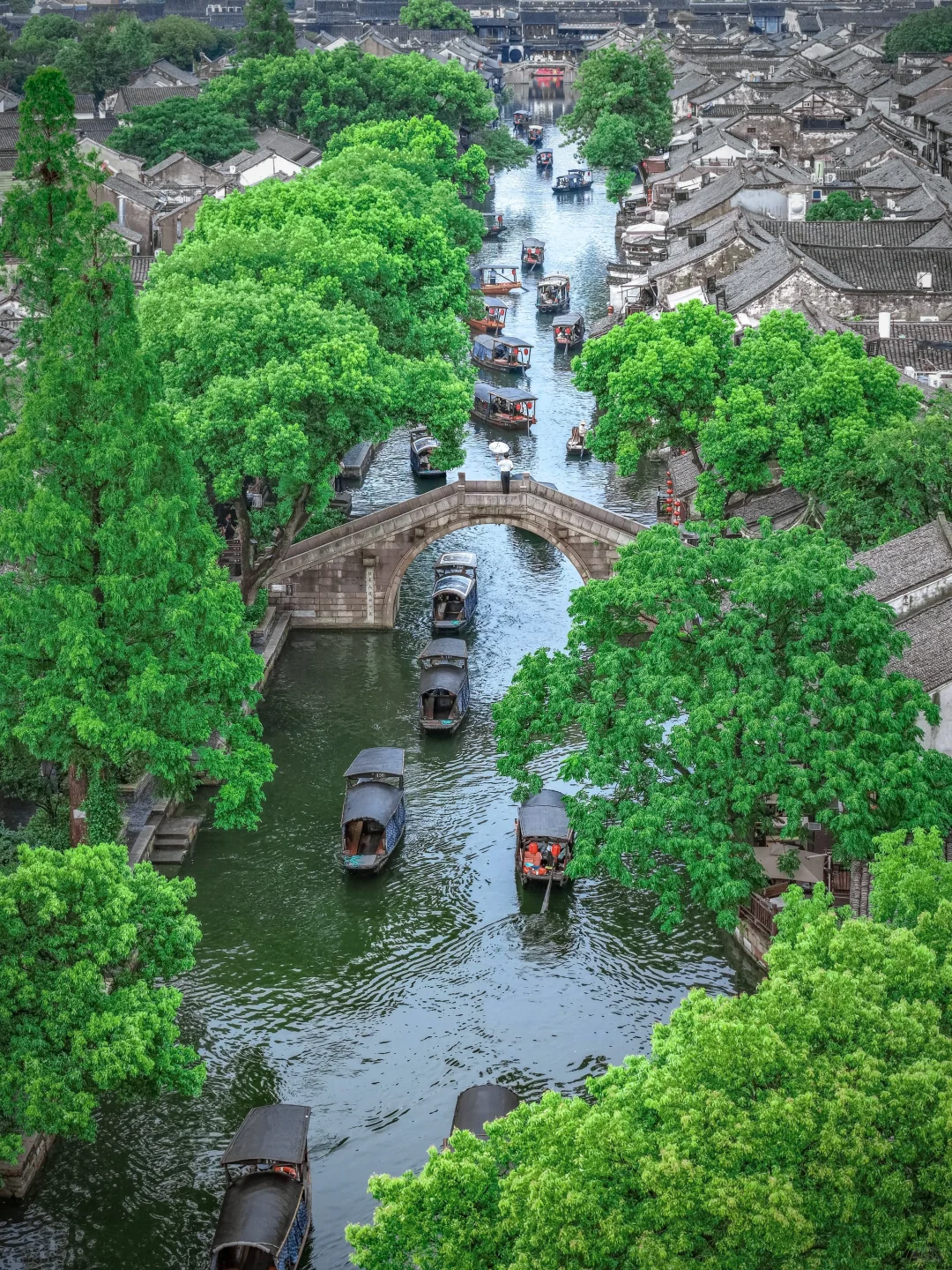 什么最美是江南？只是吸引北方人的手段罢了！