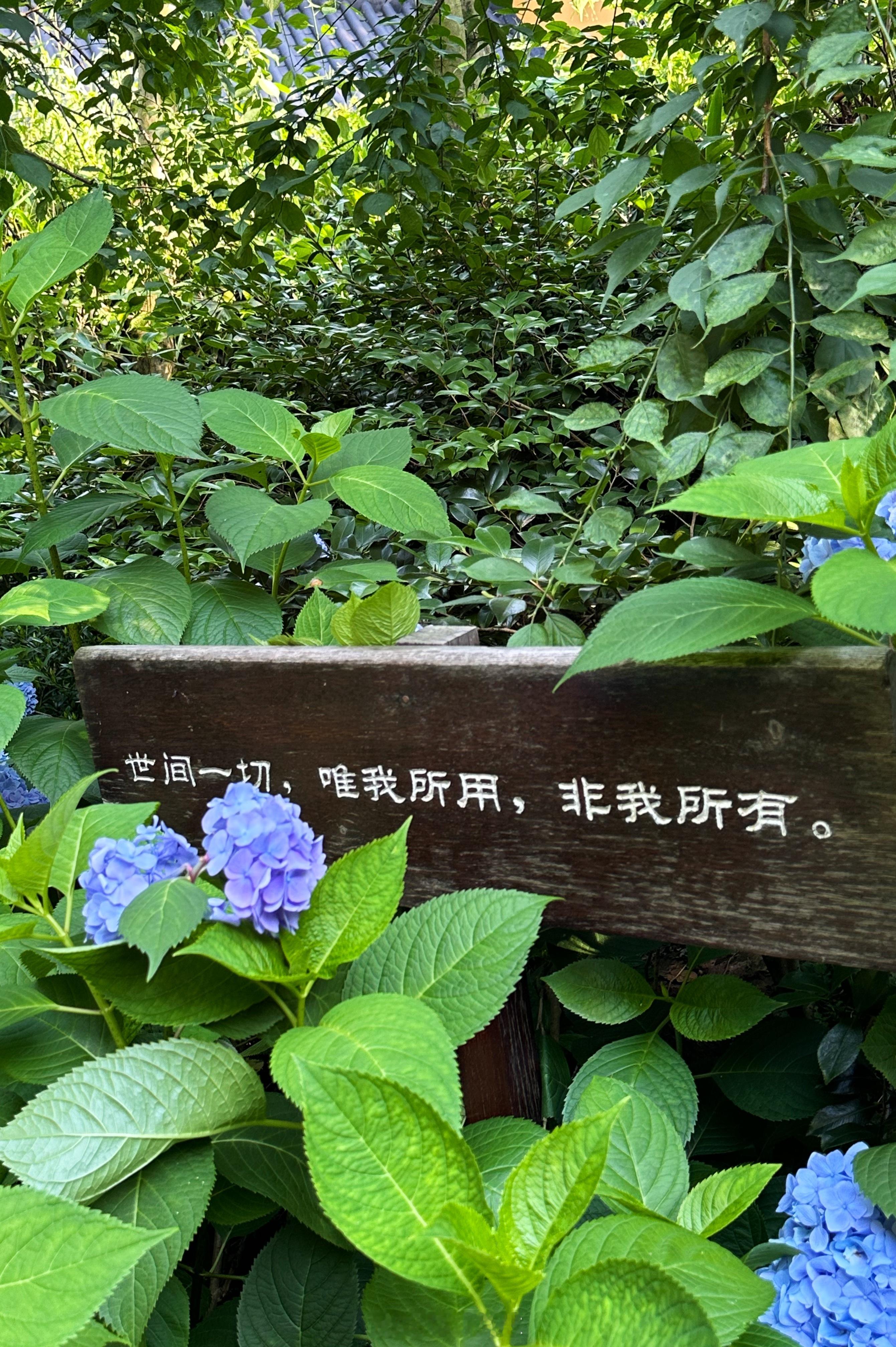 写一首诗 落款是 无尽夏 🎐⊹꙳𓂂不灭的希望与持续的美好🩵💙 