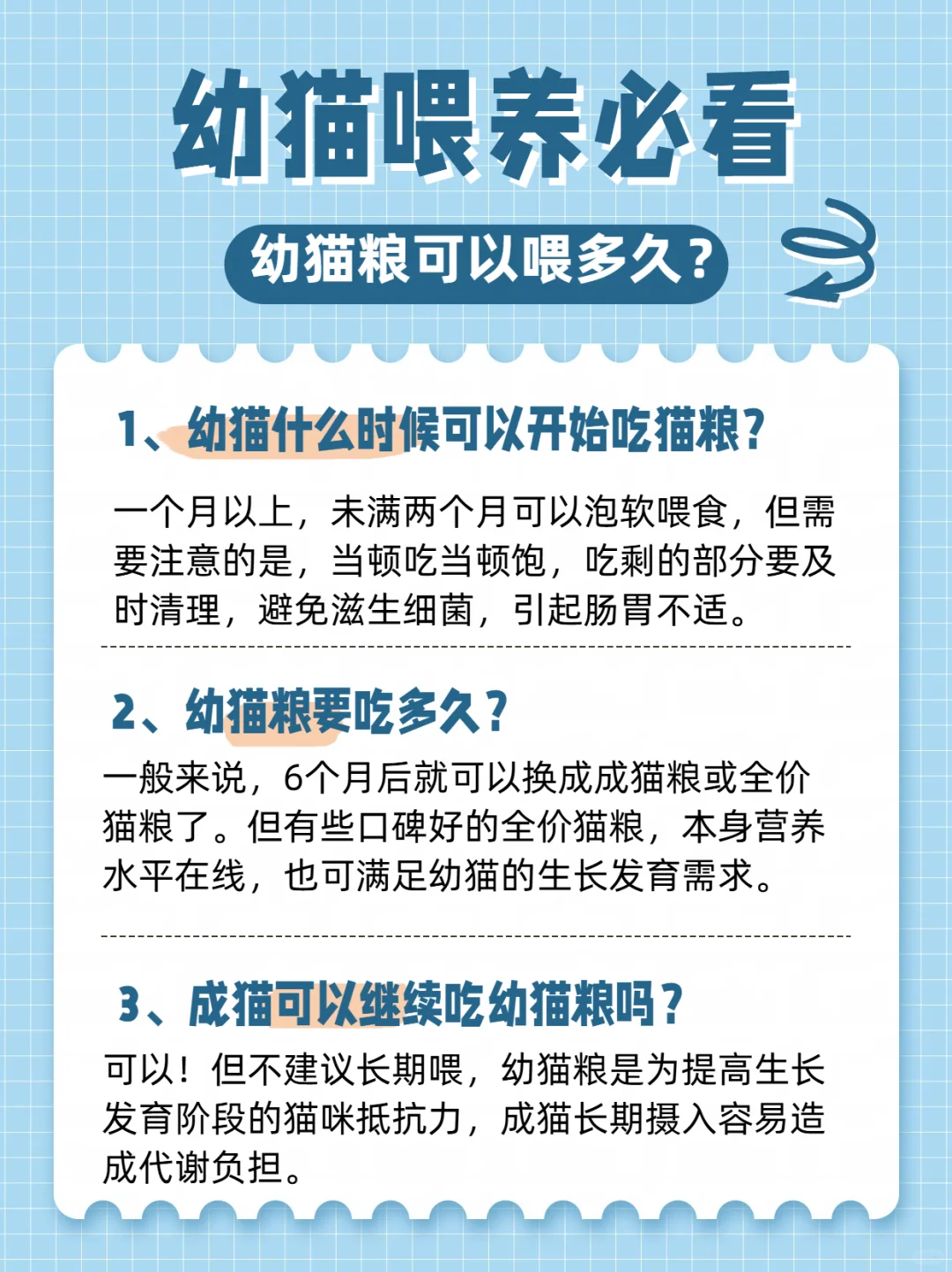 幼猫喂养指南｜一篇说清幼猫该喂啥、怎么喂