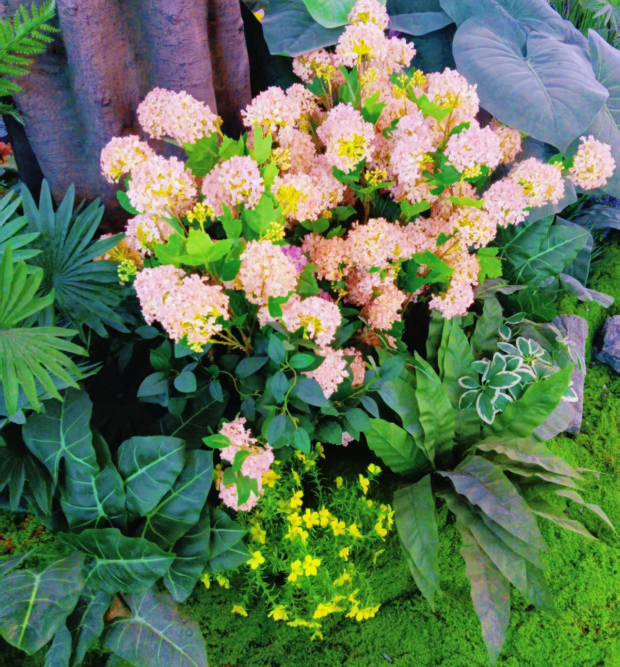 “走开”用你的家乡话怎么说哈哈哈哈哈！我们这是说“烦人”