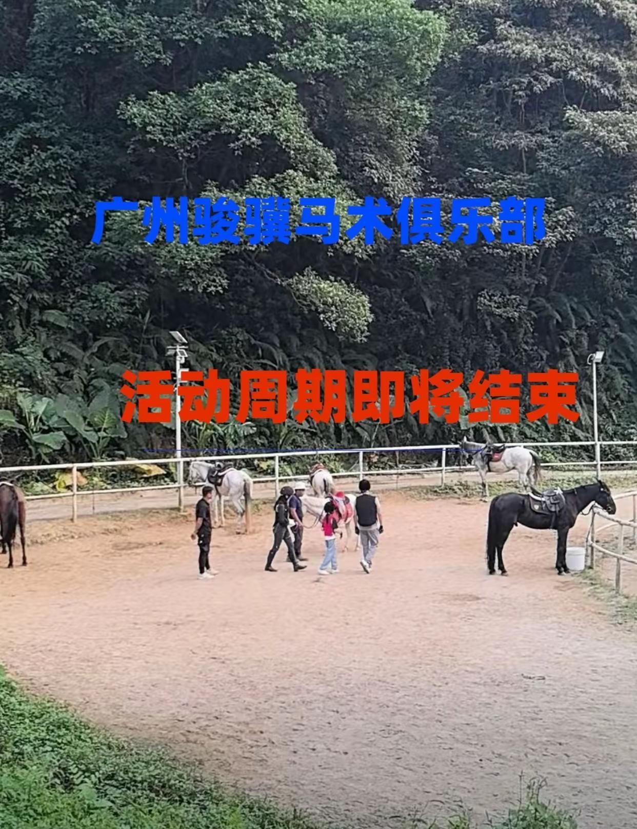广州骏骥马术俱乐部 骑马的女孩 骑马初体验 骑马的乐趣只有骑马的人懂 骑马看风景
