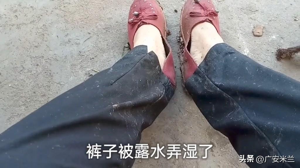 我们小时候在农村，似乎不讲啥边界感。

不认识的人也会请她来家里坐坐，喝口茶，聊
