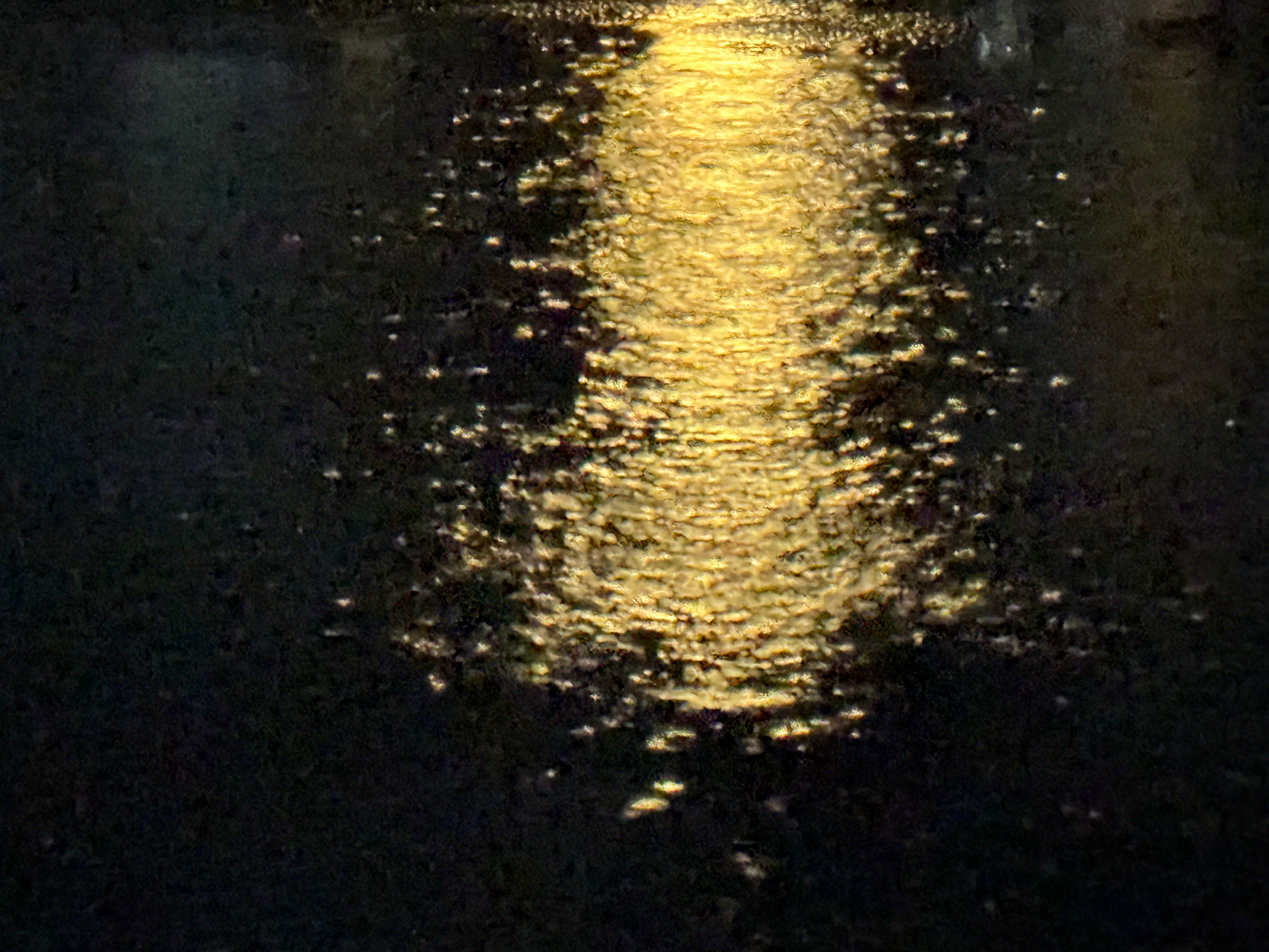 谁又能分清这是月光？还是雨水里的路灯？沈阳🌧️大雨❗️ 