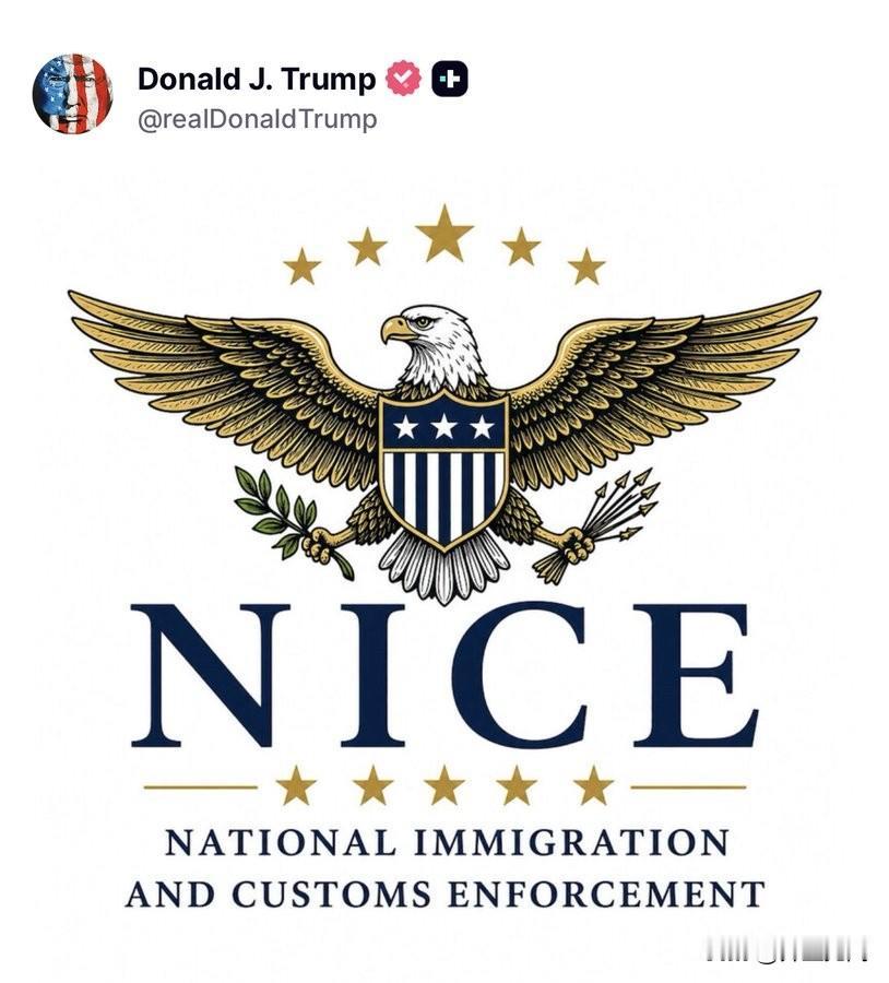 特朗普刚刚公布了一个可能是美国国家移民和海关执法局（NICE）的新标志。

媒体
