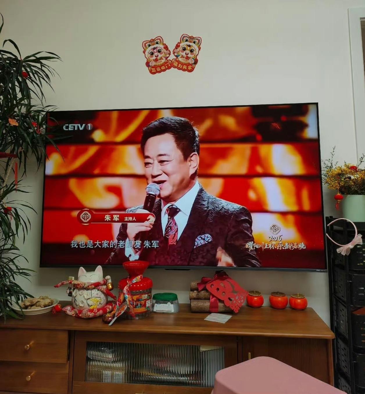 朱军复出主持节目