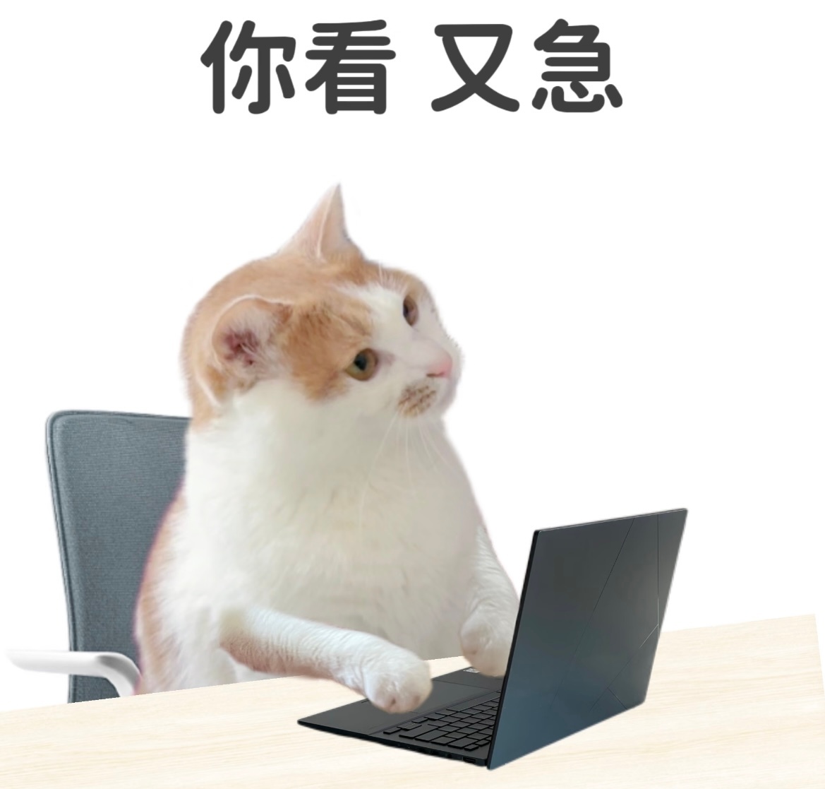 龚俊领导说话我左耳进右耳出龚俊还是适合古装剧现代剧的妆造很一般啊