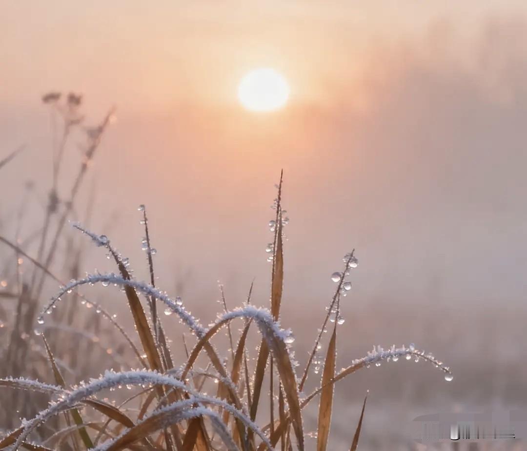 新一轮裁员潮来袭，这些曾经的“金饭碗”行业，如今也撑不住了！
 
一、银行

以