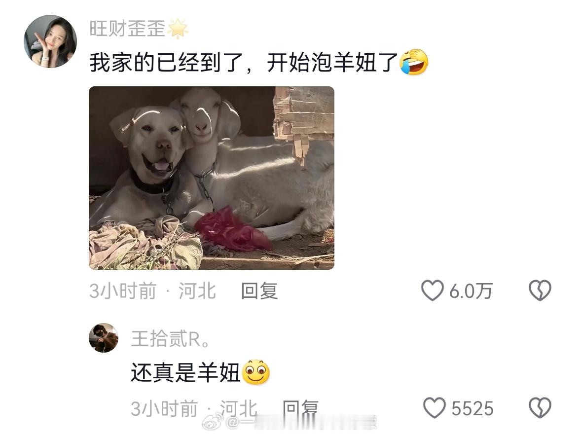 还真是泡羊妞，哈哈哈哈，看给这小子乐的～ ​​​