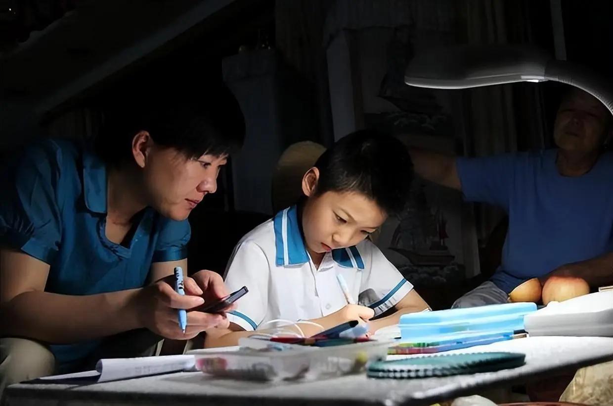 洞悉辅导奥秘，以平和之心，引领孩子学习之旅

掌握辅导作业的底层逻辑，并以平和的
