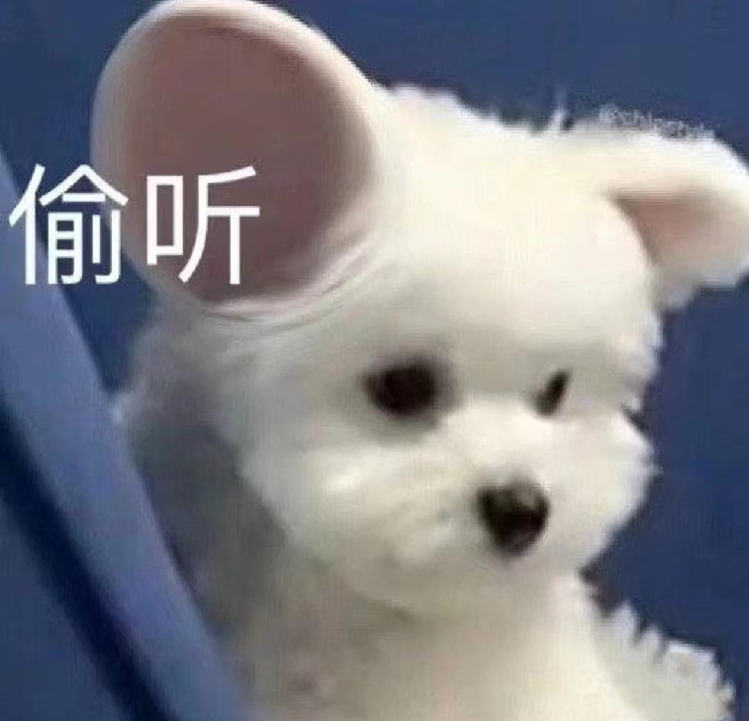 考试结束，好好放松一下，姨请同学们看电影啦！有没有推荐的电影或者电视剧呀 ​​​