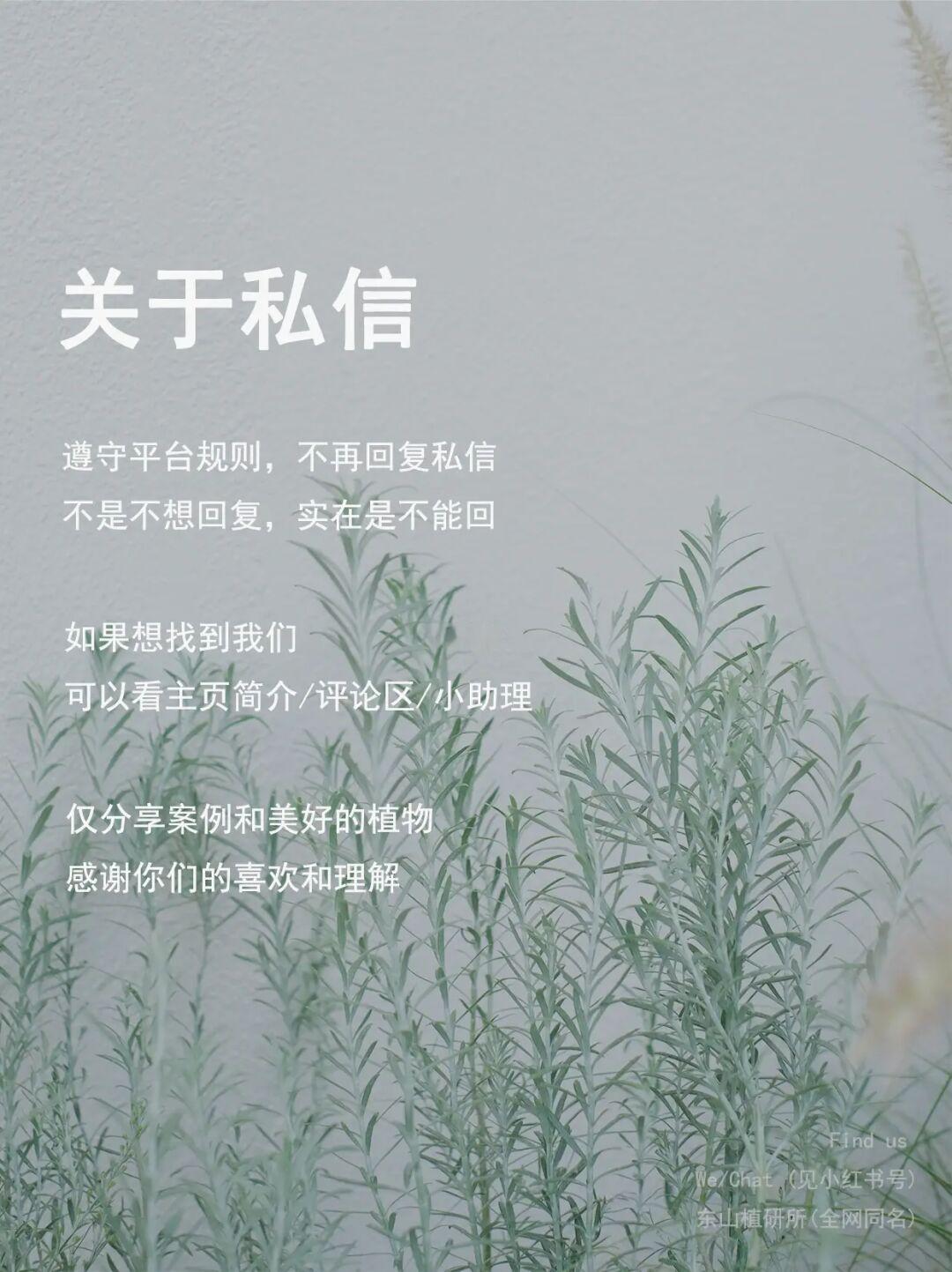 关于我们|东山植研所🌵live in jungle