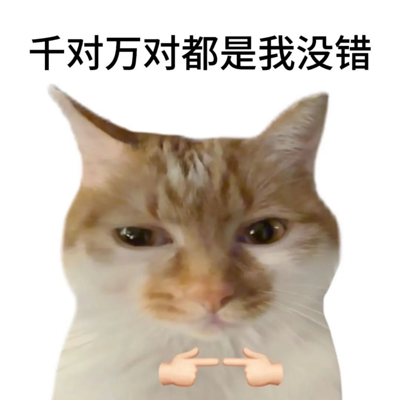 我打赌我们的巴黎会有双人vlog，赌赢了我将随机艾特一个人给我发9.9红包，赌输
