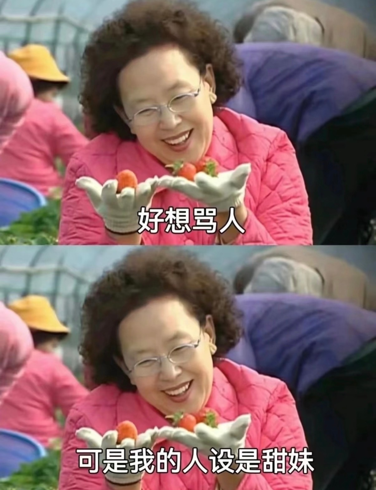 全浙江最尊重台风之人我觉得我才是最尊重台风的人人在丽江一直在关注上海的天气为了今