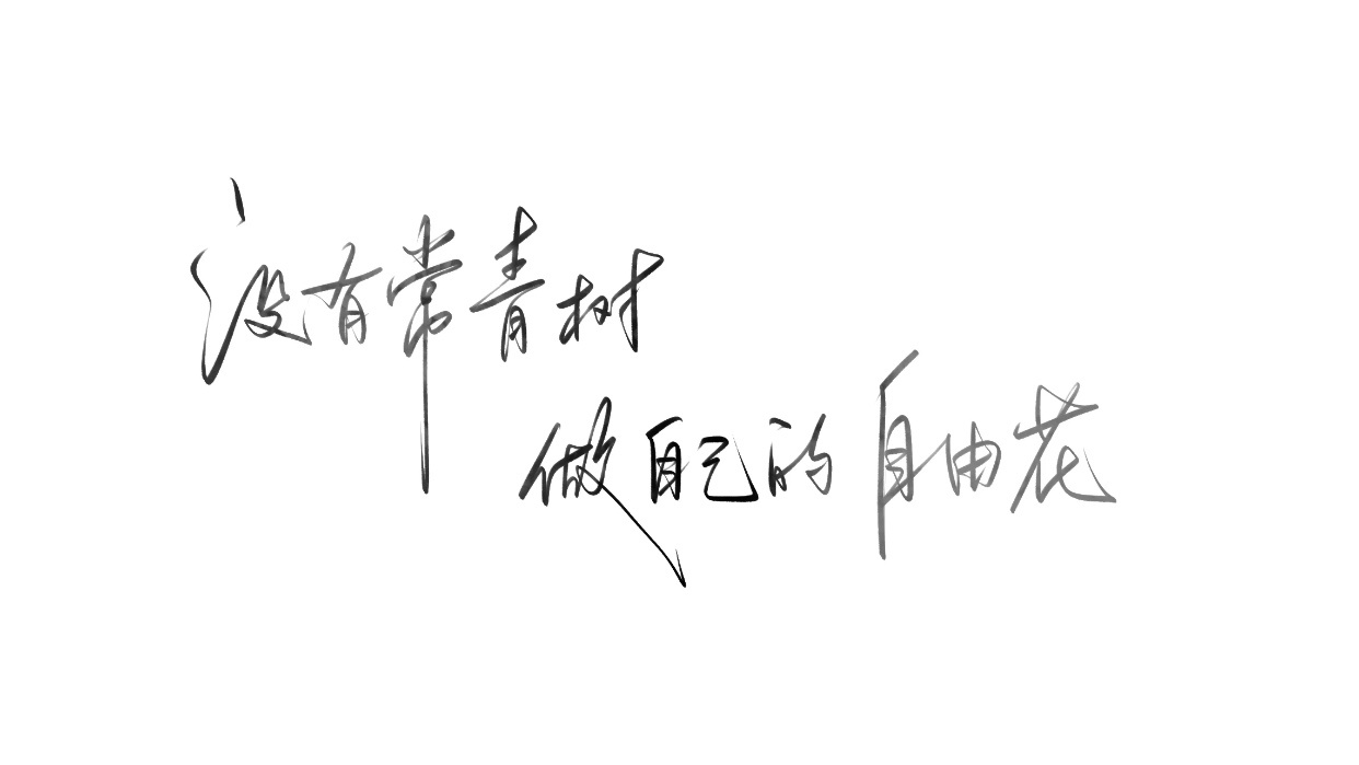 今天是温馨文案 (･∞･ﾐэ )ЭShare｜iPad平板壁纸🦋高清4k横屏 