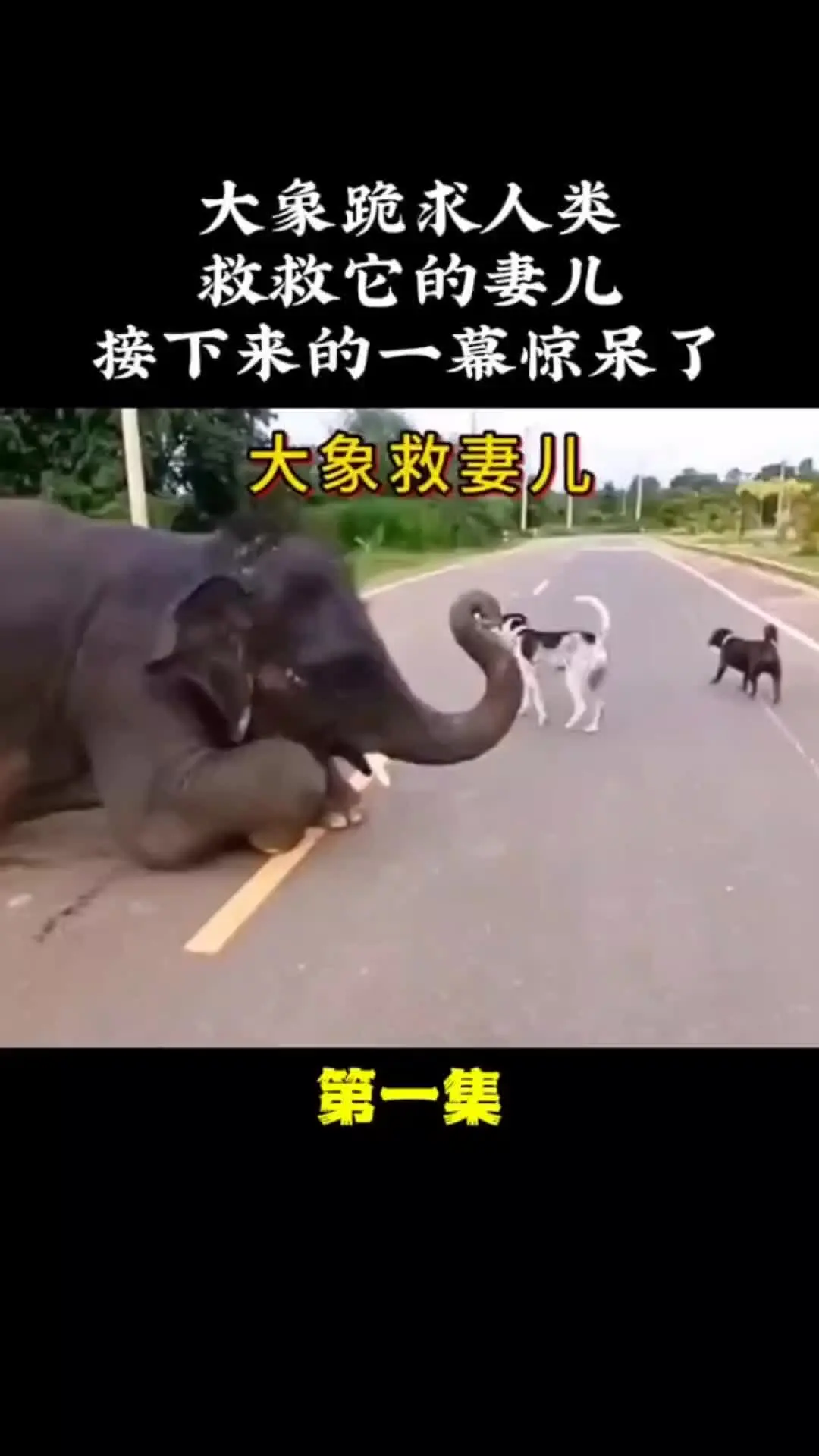 我的观影报告 万物皆有灵性