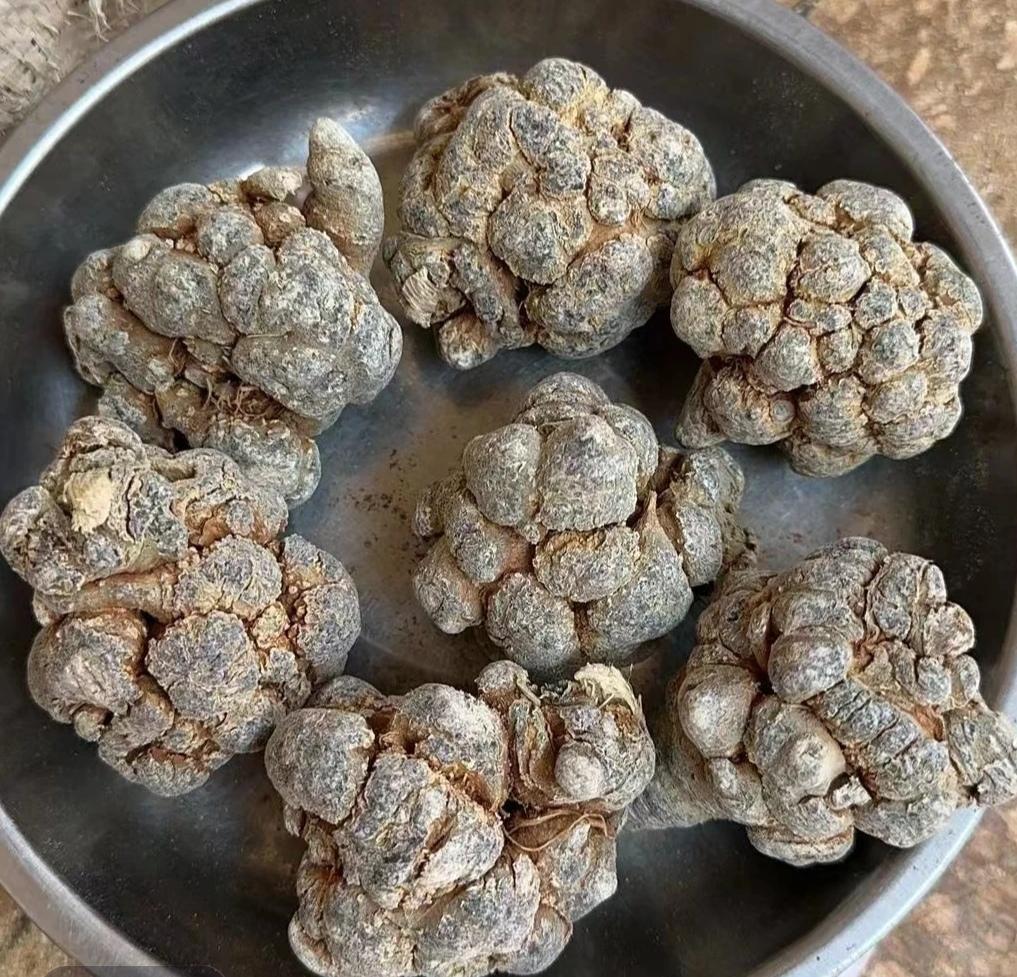 小时候没有多少零食吃，嘴馋，经常跑药材行玩。
     大人们称三七，经常有些很