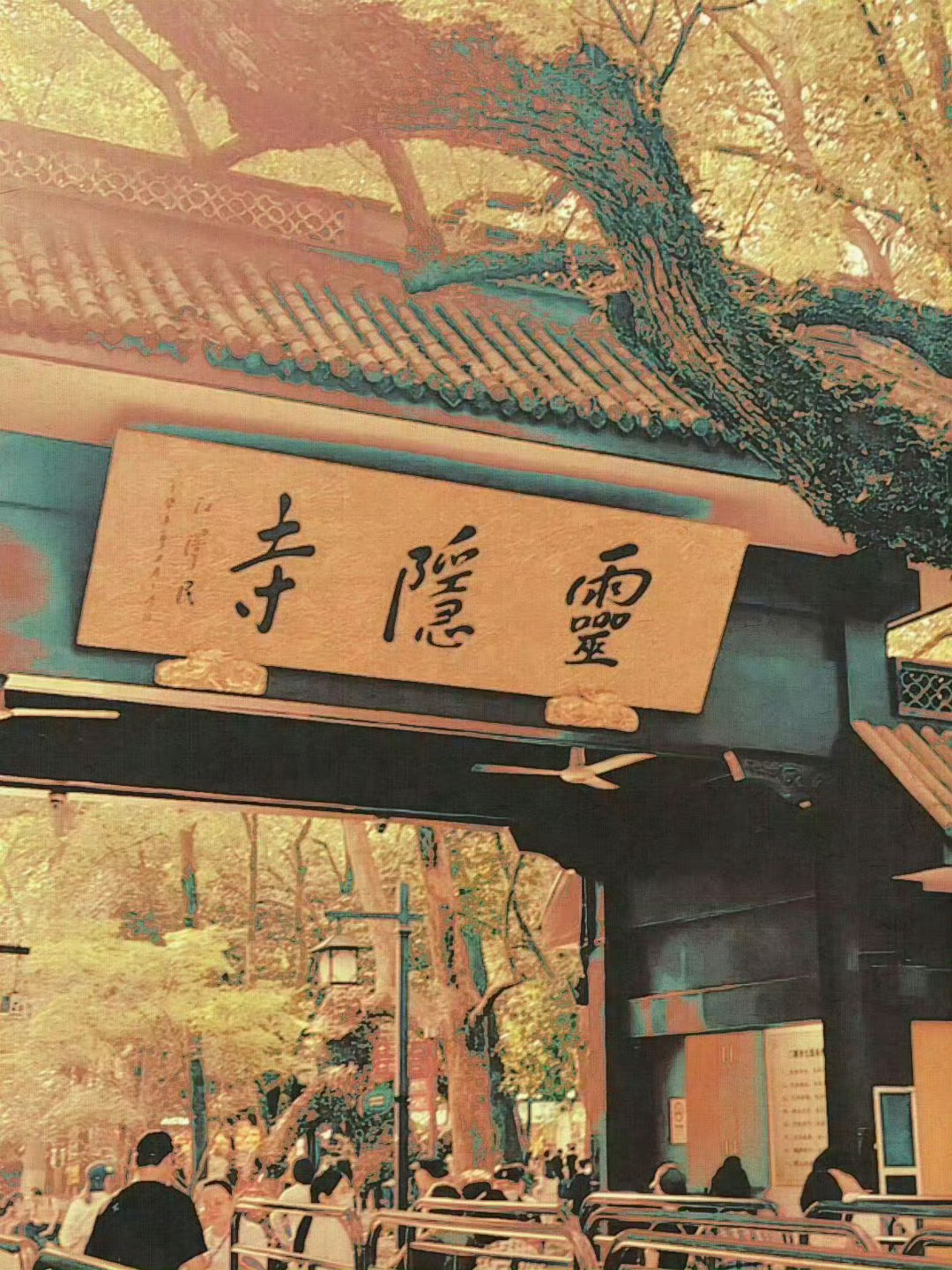 刷到灵隐寺不要无视，什么都会灵验🙏 