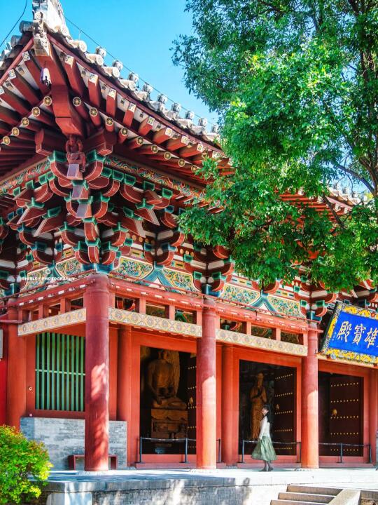 2024旅行结算 |这才是国内仿唐建筑天花板❗️