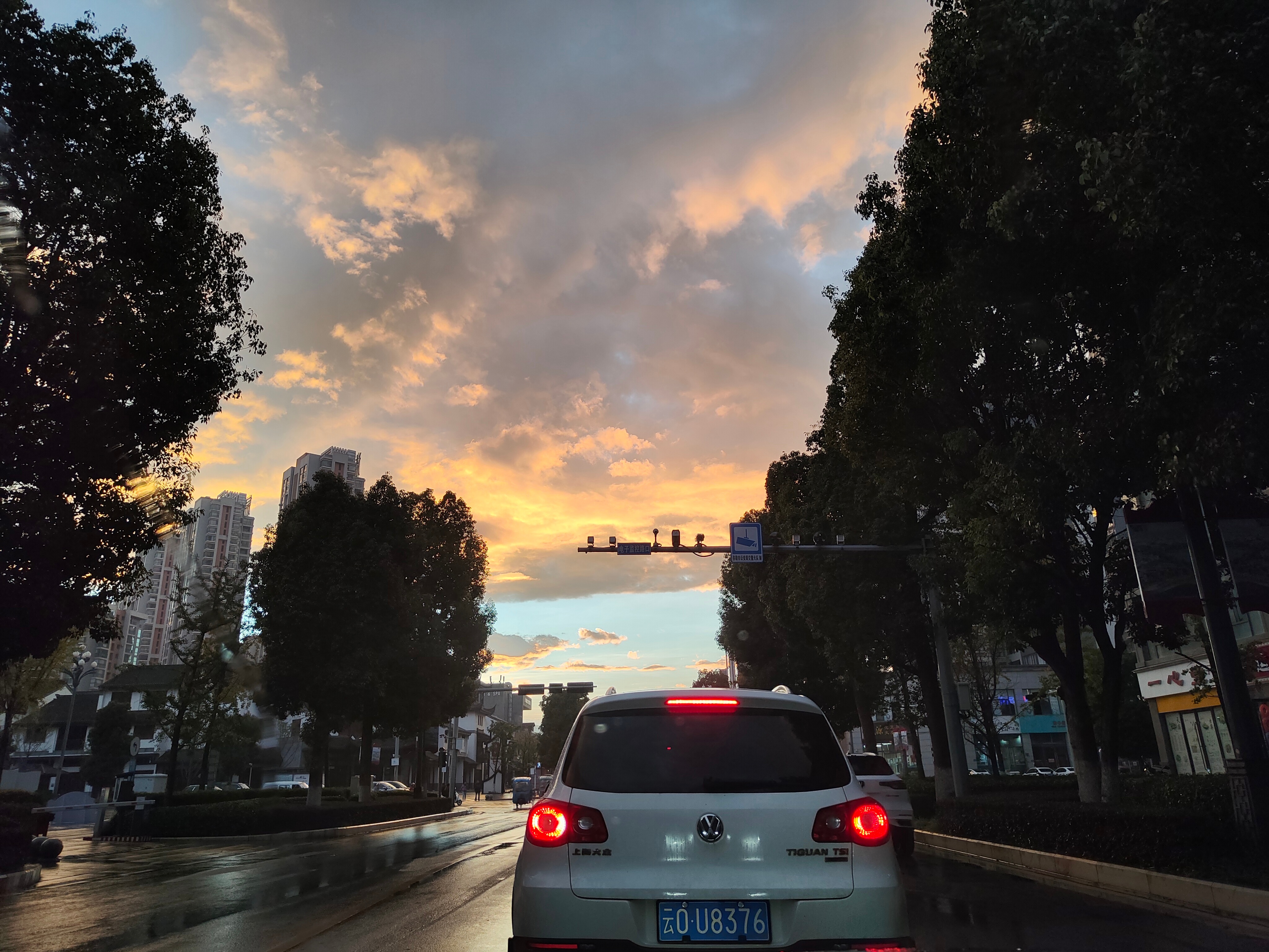 回到家就听我妈吐槽我爹，说我爹在门口抓到一个大蛐蛐，我妈让他拿去大门口丢掉，不然