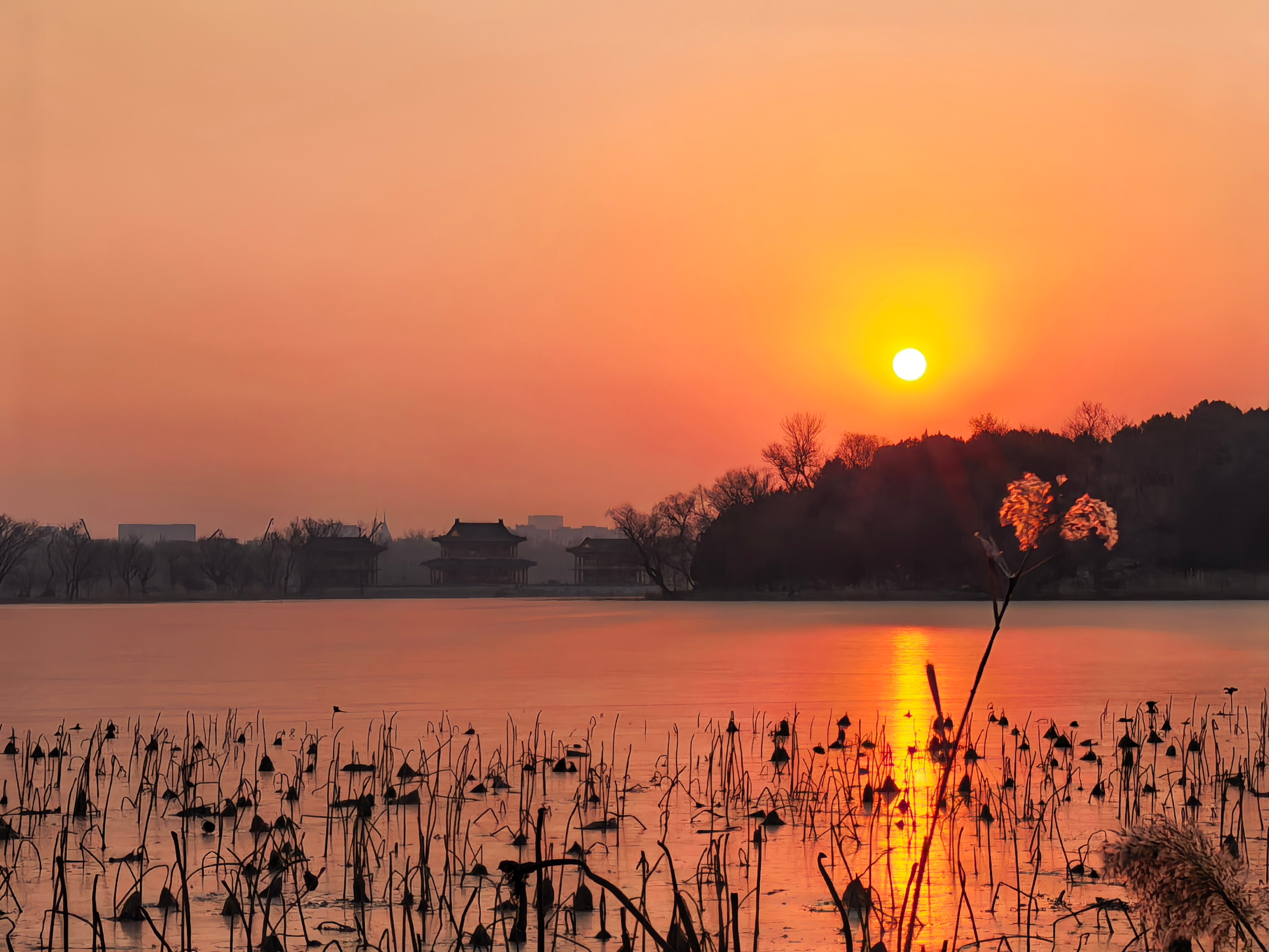 S-如果我要纠错，现在开仓的话，干什么好？你们能否给我推荐一二？只要我不下场买，