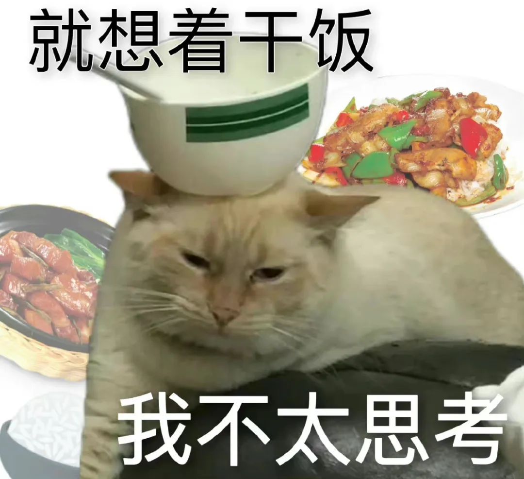 #每日一善#9🈷️4日带v评可直关，当天不吞必hui 掉铁的好友评论下 必回 