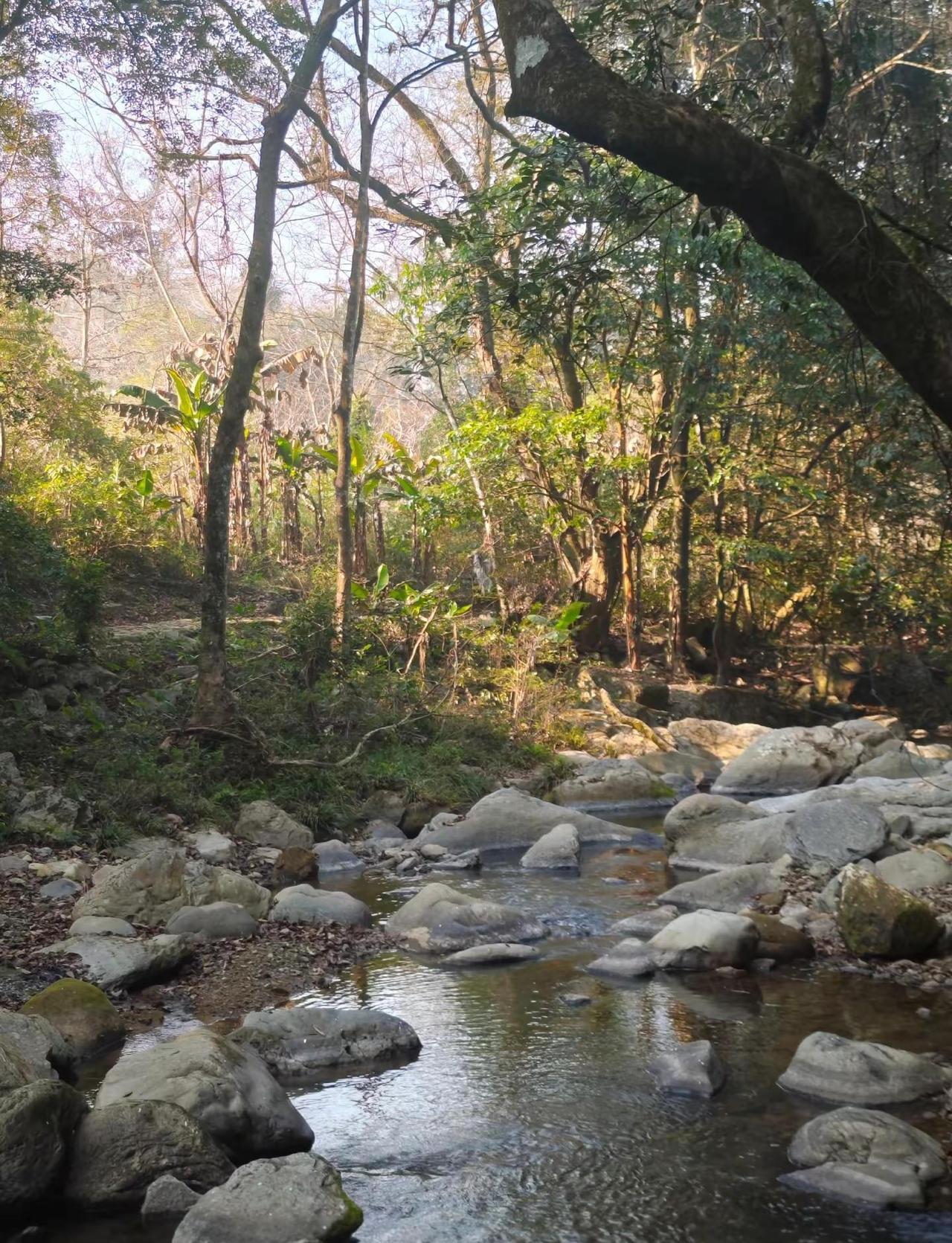 延平有多少人知道这里？不输溪源庵的美景户外 爬山 露营 延平