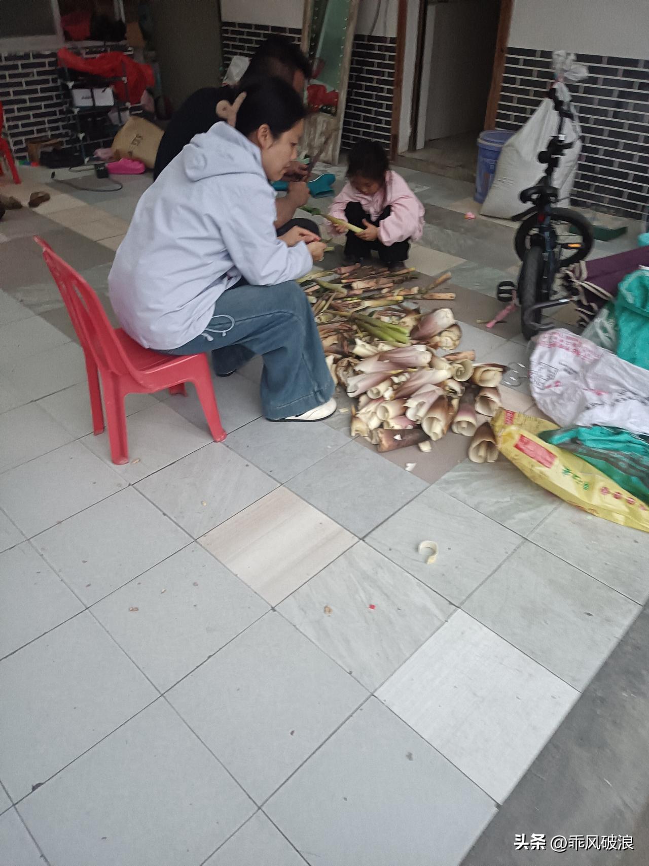 今天上山，沿着蜿蜒的羊肠小道走了几公里，去挖苦笋子。不知你们那儿方言怎么称呼，我